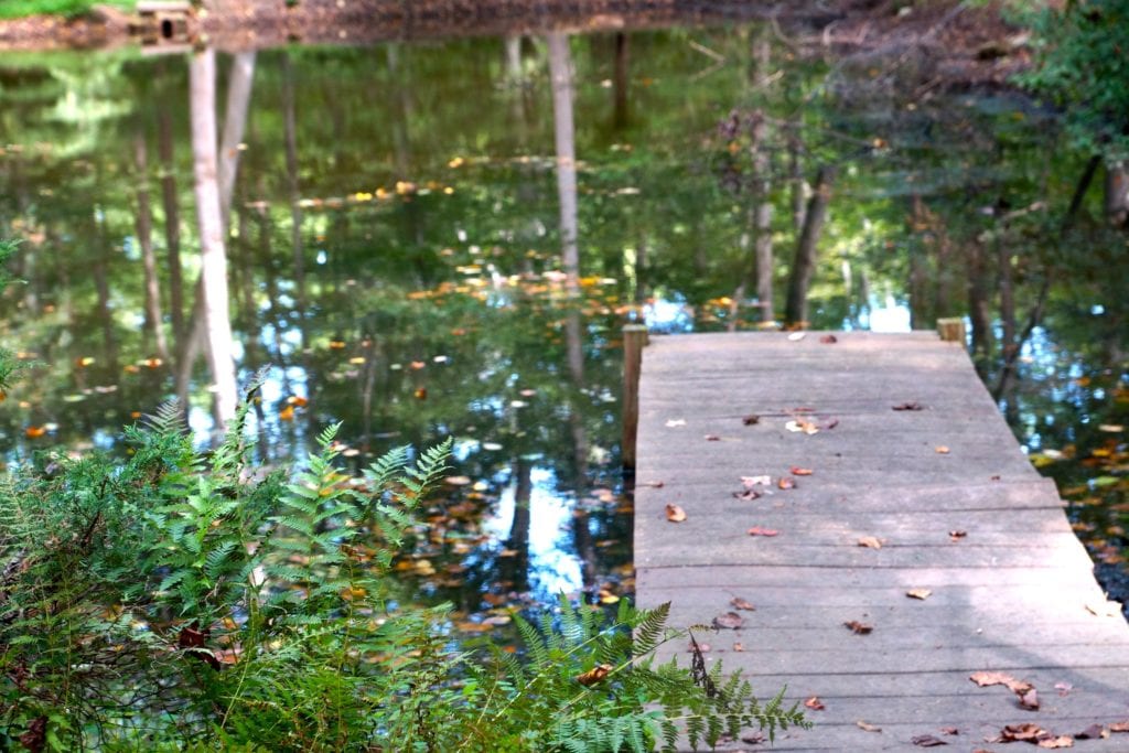 Ntianu Center pond